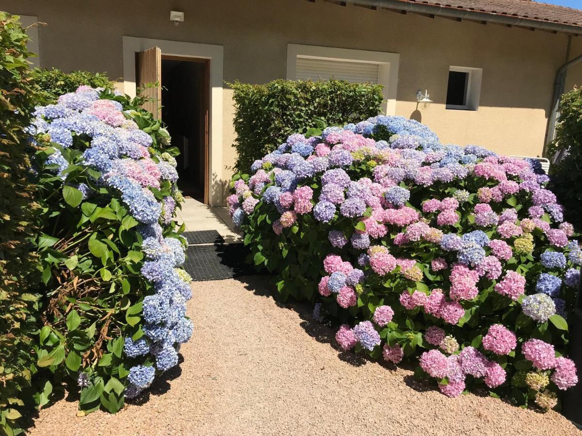 Auberge Les Hauts De Chenas Экстерьер фото