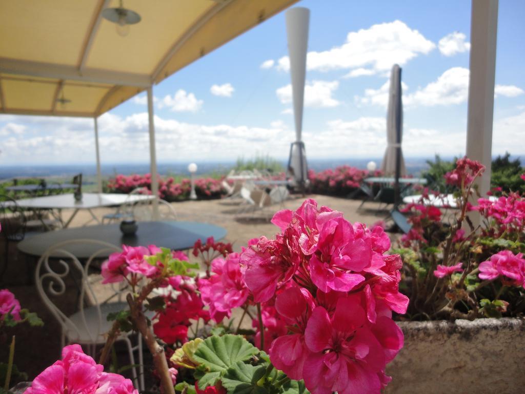 Auberge Les Hauts De Chenas Экстерьер фото