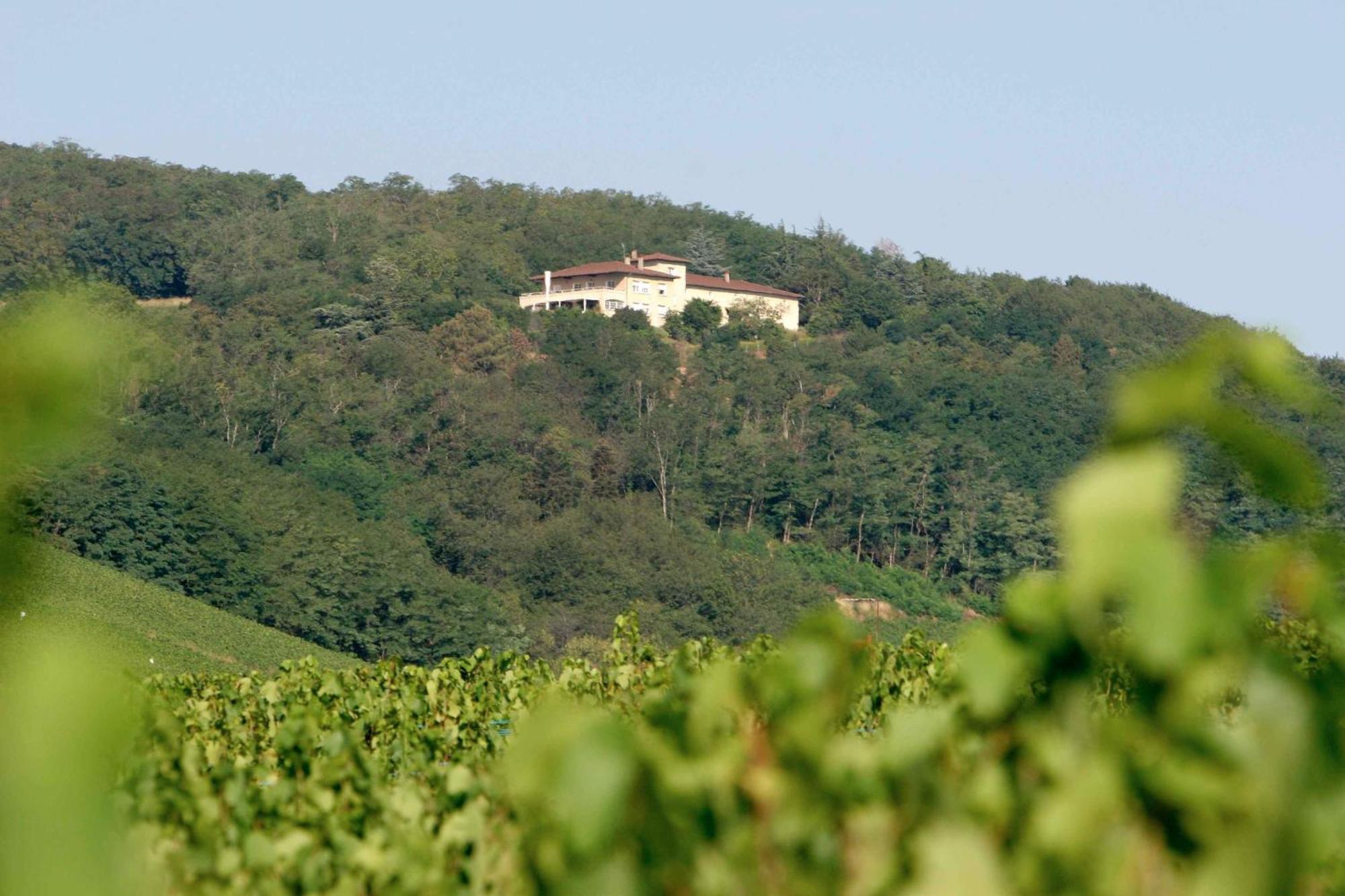 Auberge Les Hauts De Chenas Экстерьер фото